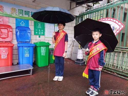 梅州花式創(chuàng)意推動(dòng)生活垃圾分類(lèi)，城市生活垃圾經(jīng)營(yíng)服務(wù)升級(jí)