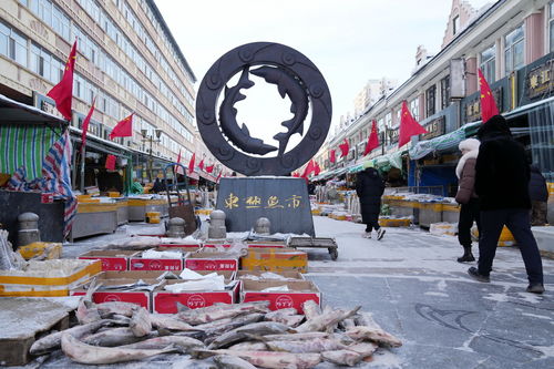 春節(jié)臨近 淡水魚(yú)都百年魚(yú)市銷(xiāo)售旺 城市生活垃圾經(jīng)營(yíng)服務(wù)保障升級(jí)